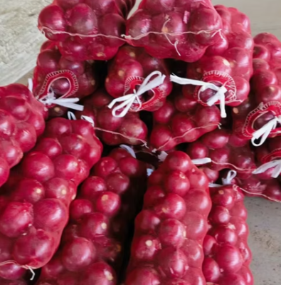 Fresh onion whole for Your Business Round and  Packed in Mesh Bags Cartons PVC Boxes or Vacuum Packs