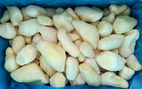 IQF Frozen Ginger Puree Cubes/Dices With NICE QUALITY AND PRICE