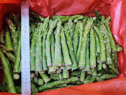 Get the Best Frozen Vegetable for Your Business Needs Green Asparagus