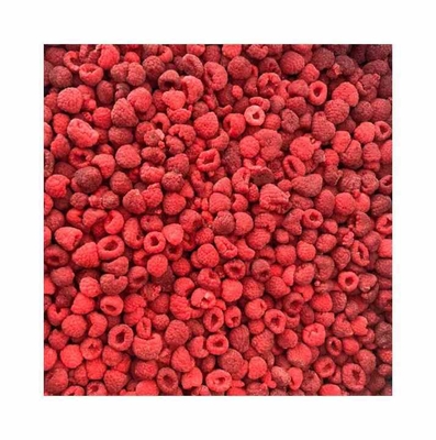 High Quality IQF Frozen Whole Raspberries in Bulk Carton Packed
