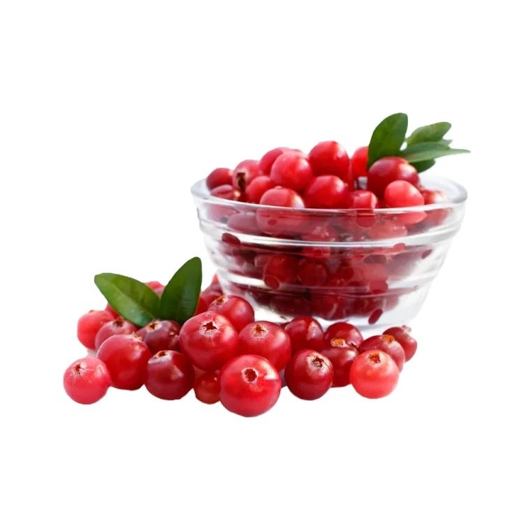 OEM/ODM Hot Selling Economical Bulk IQF Frozen Lingonberry High Demand IQF Frozen Fruit