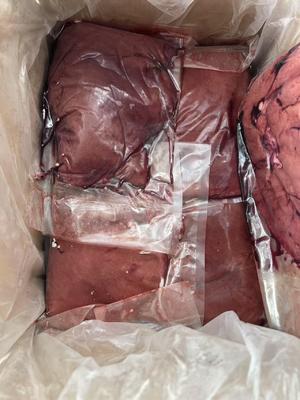 قیمت ارزان کیفیت بالا کم چربی تمیز حلال تایید شده جگر گوسفند منجمد