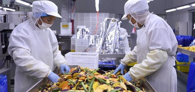 تمشک منجمد فله با کیفیت بالا بسته بندی فله تمشک منجمد میوه 10