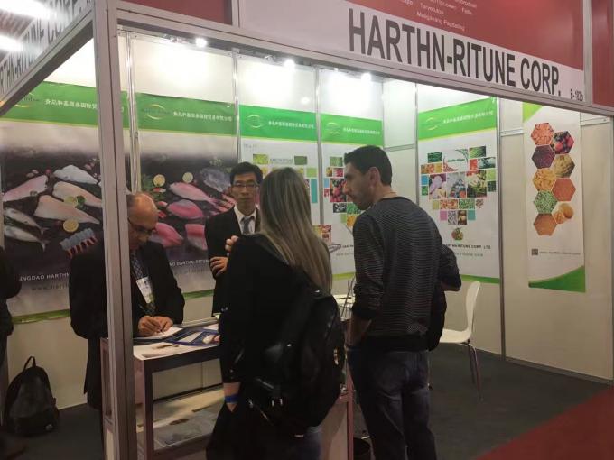 تمشک منجمد فله با کیفیت بالا بسته بندی فله تمشک منجمد میوه 19