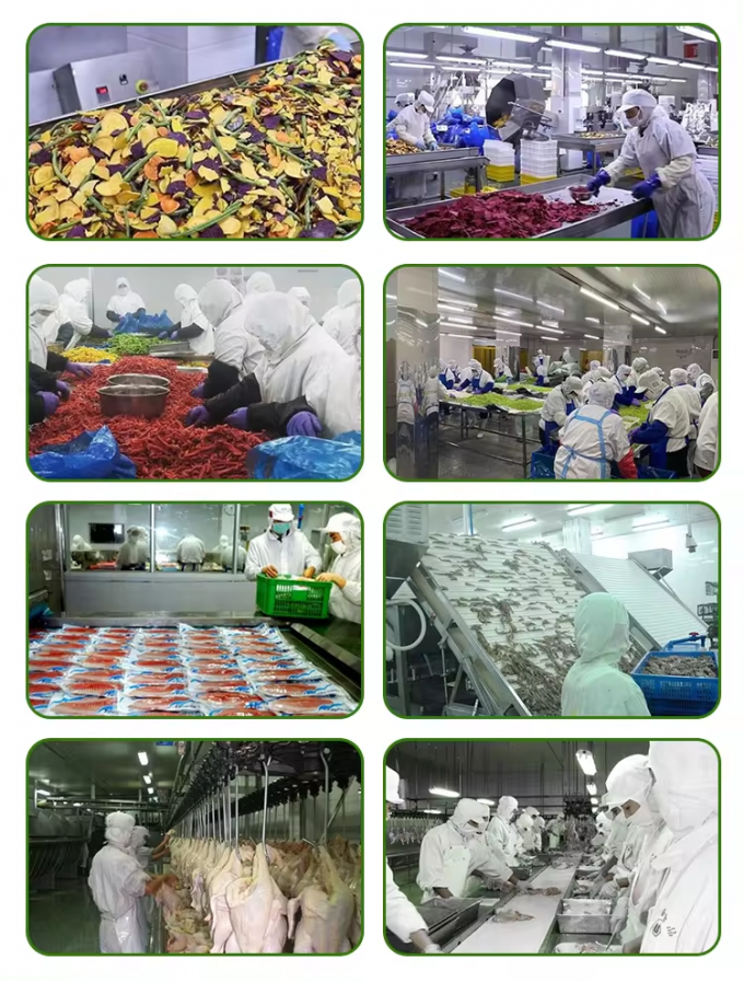 عمده فروشی بسته بندی کباب یخ زده کباب خرد شده کباب خرد شده سبزیجات یخ زده 5