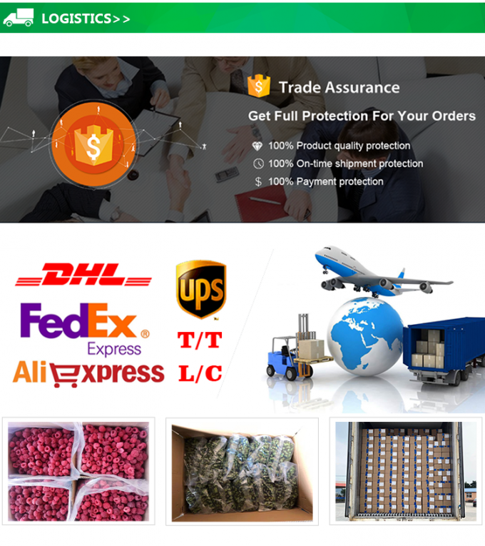 عمده فروشی IQF مکعب آناناس منجمد میوه های منجمد با قیمت خوب 5