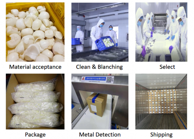 عمده فروشی Brc گواهینامه Iqf پیاز یخ زده پیاز سفید 0