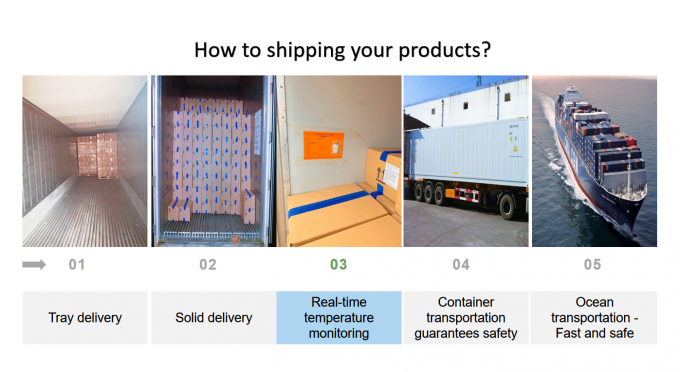 موز منجمد IQF از چین محصول داغ برش خورده برای صادرات با کیفیت بالا 2