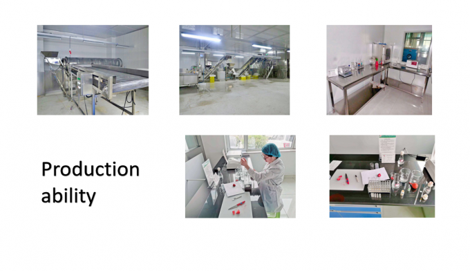 عرضه چین بهترین کیفیت قیمت خوب سبزیجات منجمد شده با روش انجماد سریع (IQF) بامیه کامل 7