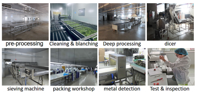 عرضه چین بهترین کیفیت قیمت خوب سبزیجات منجمد شده با روش انجماد سریع (IQF) بامیه کامل 8
