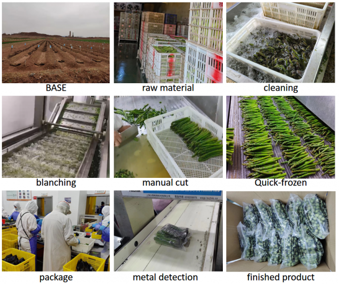 نیزه های مارچوبه 4