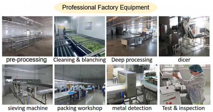 قیمت کارخانه تولید کننده IQF با کیفیت بالا غذای تازه تمشک منجمد صربستان برای صادرات 6
