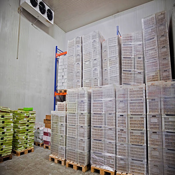 قیمت ارزان کیفیت بالا کم چربی تمیز حلال تایید شده جگر گوسفند منجمد 3