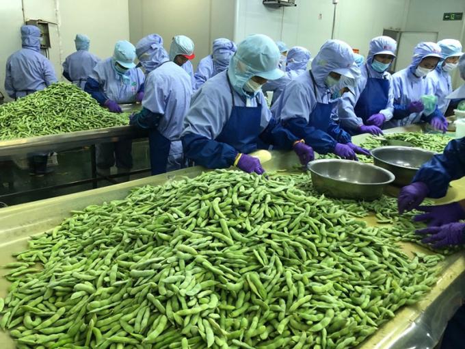 سبزیجات منجمد با پروتئین بالا آماده پختن 3