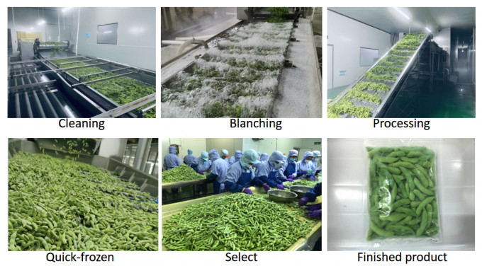 سبزیجات منجمد با پروتئین بالا آماده پختن 4