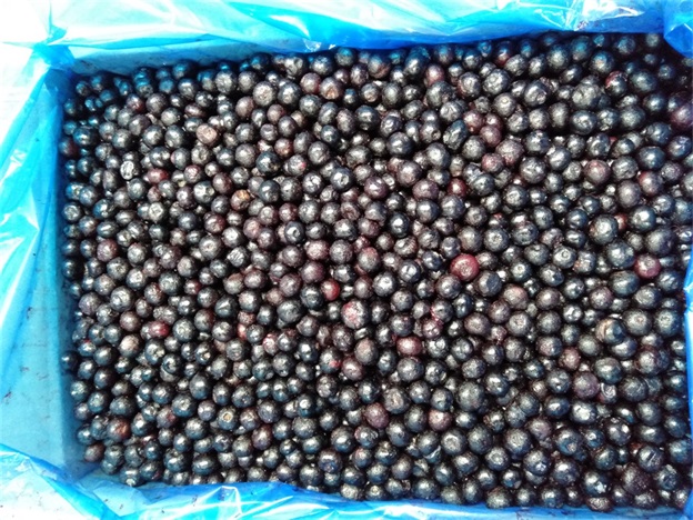 بلوبری کامل منجمد شده IQF، درجه یک، برای پخت و پز و روی اسموتی، با طعم شدید 2