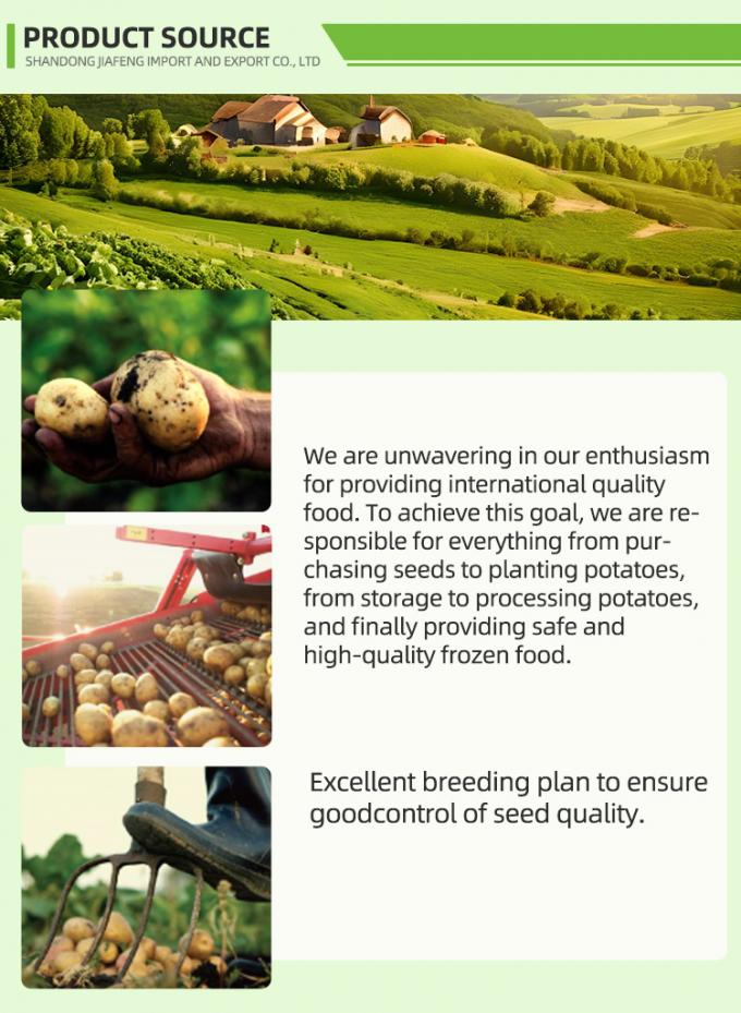 سیب زمینی سرخ کرده منجمد اتوماتیک سیب زمینی سرخ کرده منجمد سیب زمینی سرخ کرده ارگانیک IQF سیب زمینی سرخ کرده فرانسوی بسته بندی فله 10 کیلوگرم مواد تازه 1