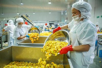 هلو زرد ارگانیک IQF، میوه های منجمد، طعم شیرین، بسته بندی فله، پالپ آبدار، برش خورده، درسته، مکعبی، خرد شده، نصف شده موجود است. 8