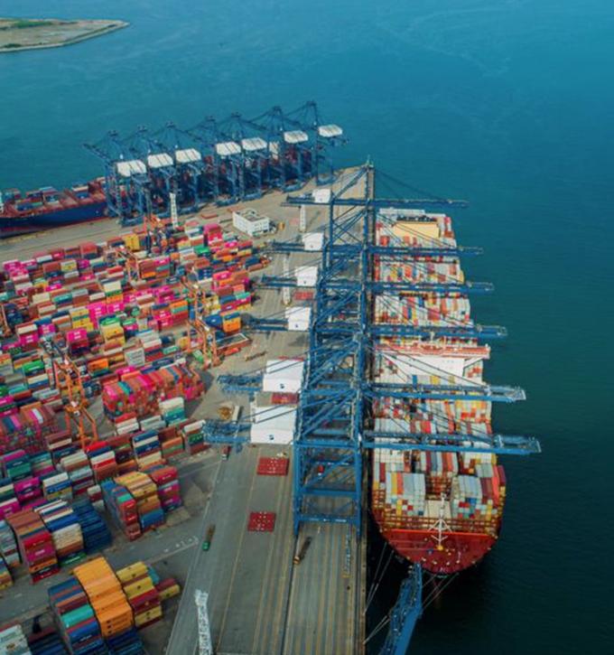 هلو زرد ارگانیک IQF، میوه های منجمد، طعم شیرین، بسته بندی فله، پالپ آبدار، برش خورده، درسته، مکعبی، خرد شده، نصف شده موجود است. 13