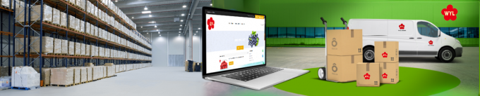 فروش داغ زردآلوی منجمد شده با کیفیت بالا به روش IQF برای عمده فروشی و خرده فروشی با قیمت کارخانه، نگهداری در آب، بسته بندی فله 1