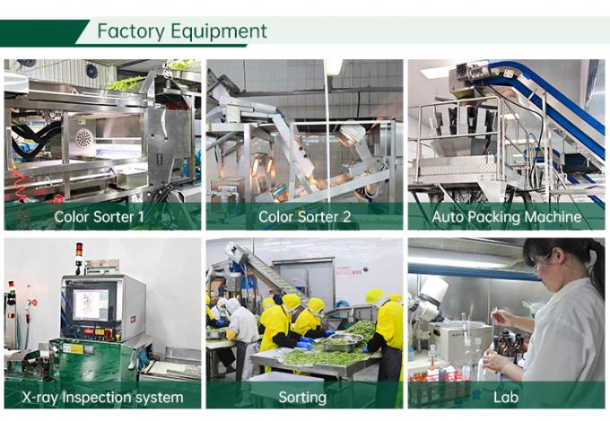 کارخانه سبزیجات منجمد دارای گواهی حلال، تاسیسات IQF، گوجه فرنگی خرد شده 10 میلی متری، گوجه فرنگی خرد شده منجمد در چین 2