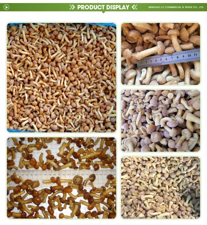 قارچ&zwnj;های وحشی، پرورشی، ارگانیک، سالم، طبیعی، مغذی، تازه، کامل، منجمد، قارچ منجمد IQF، نامکو منجمد 1