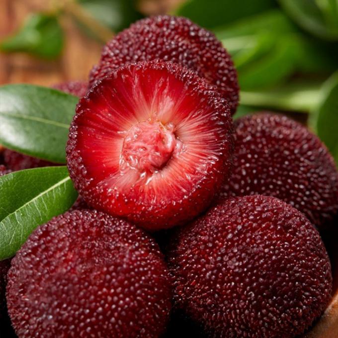 میوه های یخ زده IQF قرمز دایره ای یانگمی بیبری قیمت کارخانه عمده یخ زده Waxberry 2