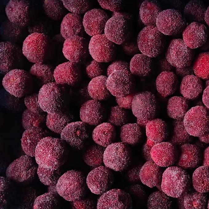 میوه های یخ زده IQF قرمز دایره ای یانگمی بیبری قیمت کارخانه عمده یخ زده Waxberry 5