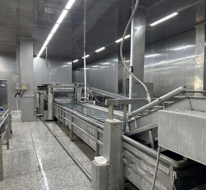 IQF چهار سبزیجات یخ زده نخود سبز&کرنی ذرت شیرین&هویج& لوبیا سبز 9