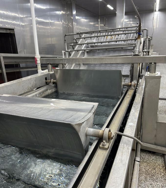 IQF چهار سبزیجات یخ زده نخود سبز&کرنی ذرت شیرین&هویج& لوبیا سبز 12