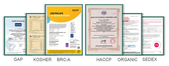 Sinocharm HALAL KOSHER تازه 4*4 میلی متر چینی IQF زنجبیل خرد شده تامین کننده 1 کیلوگرم زنجبیل یخ زده برای ادویه جات 15