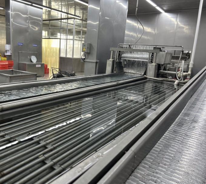 IQF چهار سبزیجات یخ زده نخود سبز&کرنی ذرت شیرین&هویج& لوبیا سبز 13