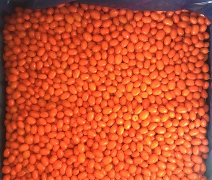 منشأ چین IQF تازه یخ زده خشخاش دریایی وحشی کلاس اول خشخاش دریایی Lingonberry توت فرنگی، بلوبری مرکب توت 0