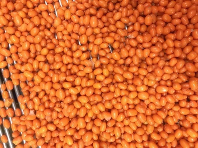 منشأ چین IQF تازه یخ زده خشخاش دریایی وحشی کلاس اول خشخاش دریایی Lingonberry توت فرنگی، بلوبری مرکب توت 2