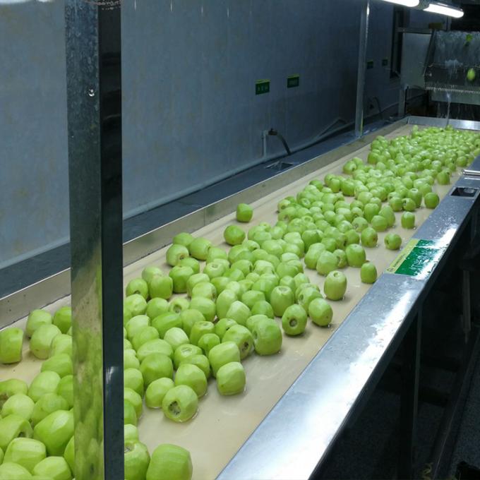 کیوی میوه های منجمد میوه های منجمد کیوی گلوله کیفیت طبیعی 5