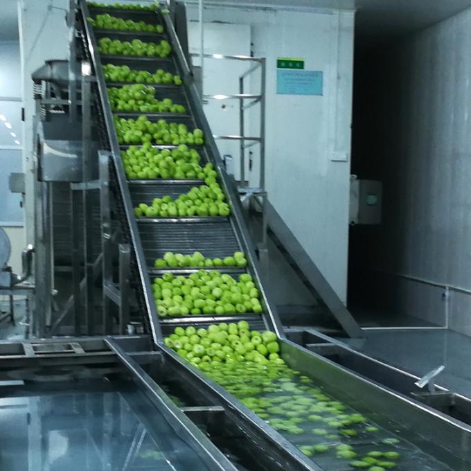 کیوی میوه های منجمد میوه های منجمد کیوی گلوله کیفیت طبیعی 6