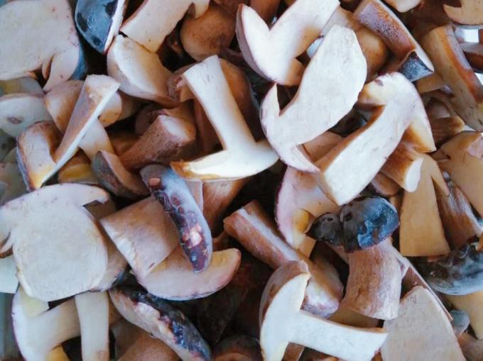 قارچ های منجمد IQF BOLETUS EDULIS درجه A 24 ماه مدت نگهداری ISO HACCP BRC KOSHER HALAL گواهی شده 10 تن MOQ 1