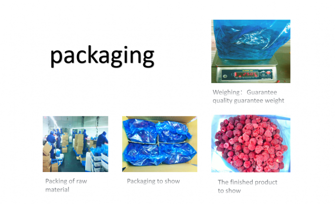 عمده فروشی IQF فروخته فروخته فروخته فروخته فروخته فروخته فروخته فروخته فروخته 4