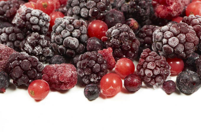 تازه IQF میوه های مخلوط منجمد توت فرنگی توت فرنگی توت بلوبری در سبک توت فرنگی توت فرنگی 1