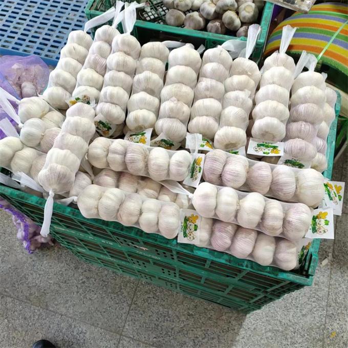 چینی تازه 4P سیر سفید خالص قیمت ارزان سبزیجات تازه برای عمده فروشی 2