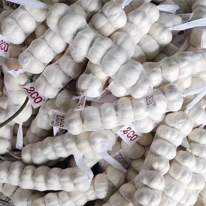 چینی تازه 4P سیر سفید خالص قیمت ارزان سبزیجات تازه برای عمده فروشی 4