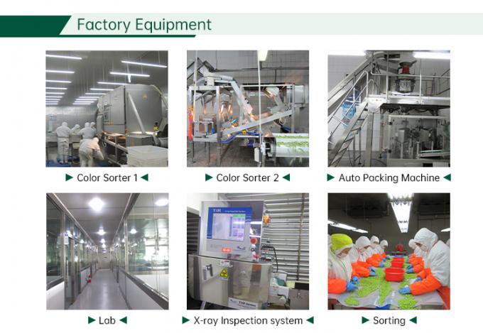 IQF سبزیجات مخلوط یخ زده سبزیجات مخلوط تازه 6