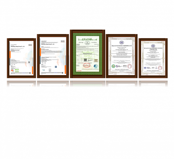 سینه مرغ بدون استخوان منجمد با کیفیت بالا آماده صادرات در بسته بندی فله 3