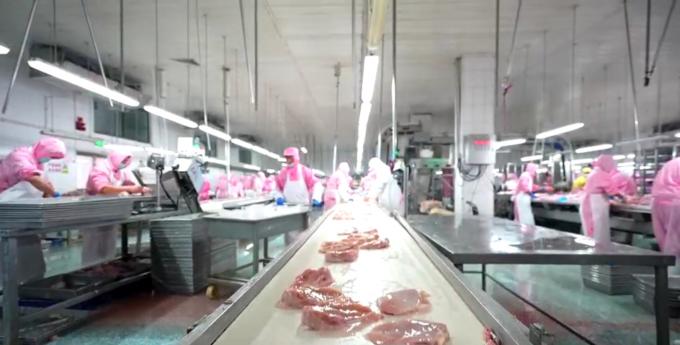 سینه مرغ بدون استخوان منجمد با کیفیت بالا آماده صادرات در بسته بندی فله 6