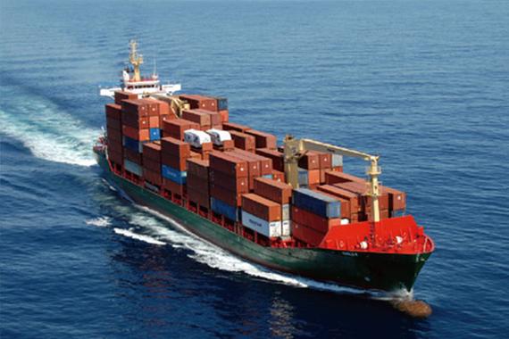 سینه مرغ بدون استخوان منجمد با کیفیت بالا آماده صادرات در بسته بندی فله 11